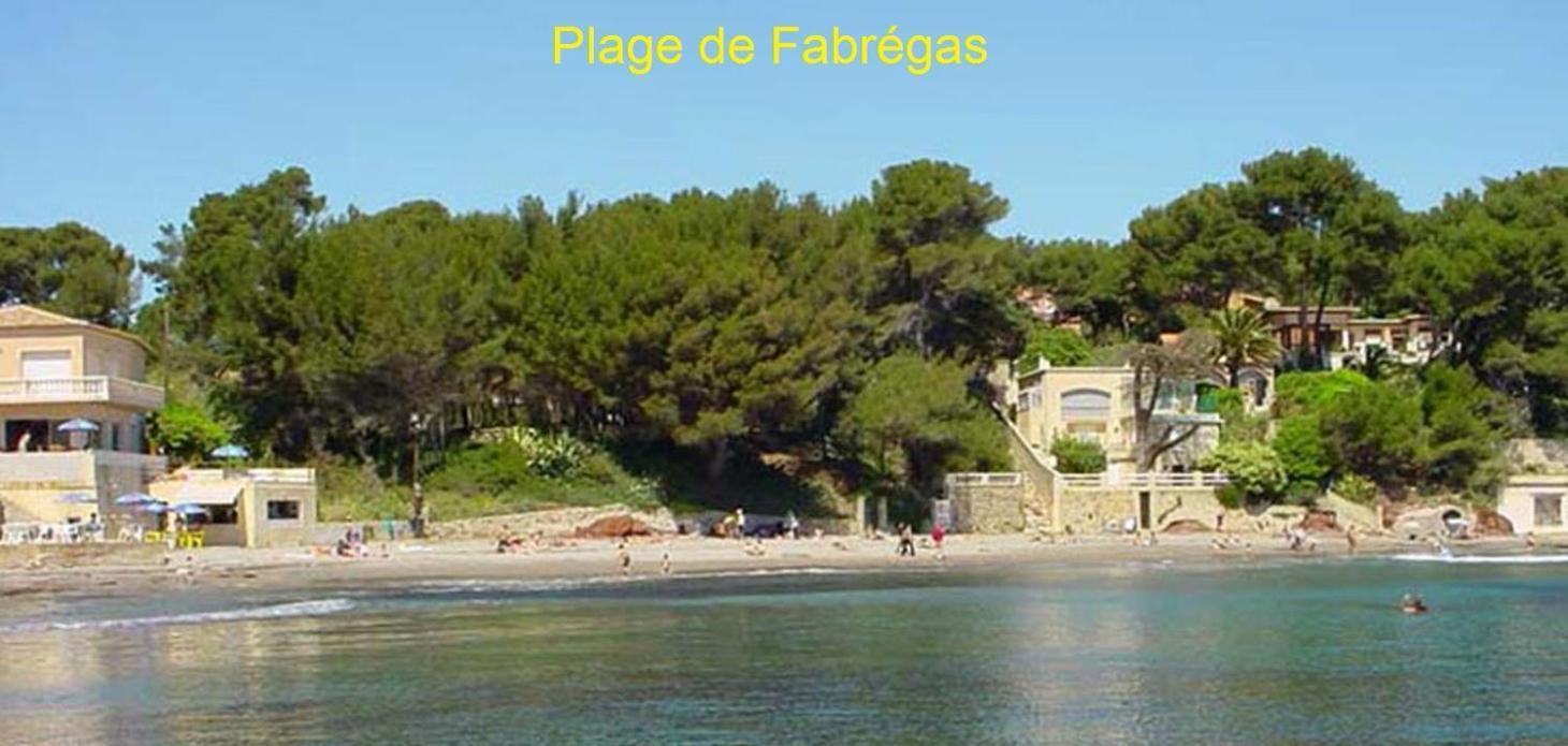 לה סיין סור-מר Chambre Et Salle De Bain Independantes A 200M De La Plage De Fabregas מראה חיצוני תמונה